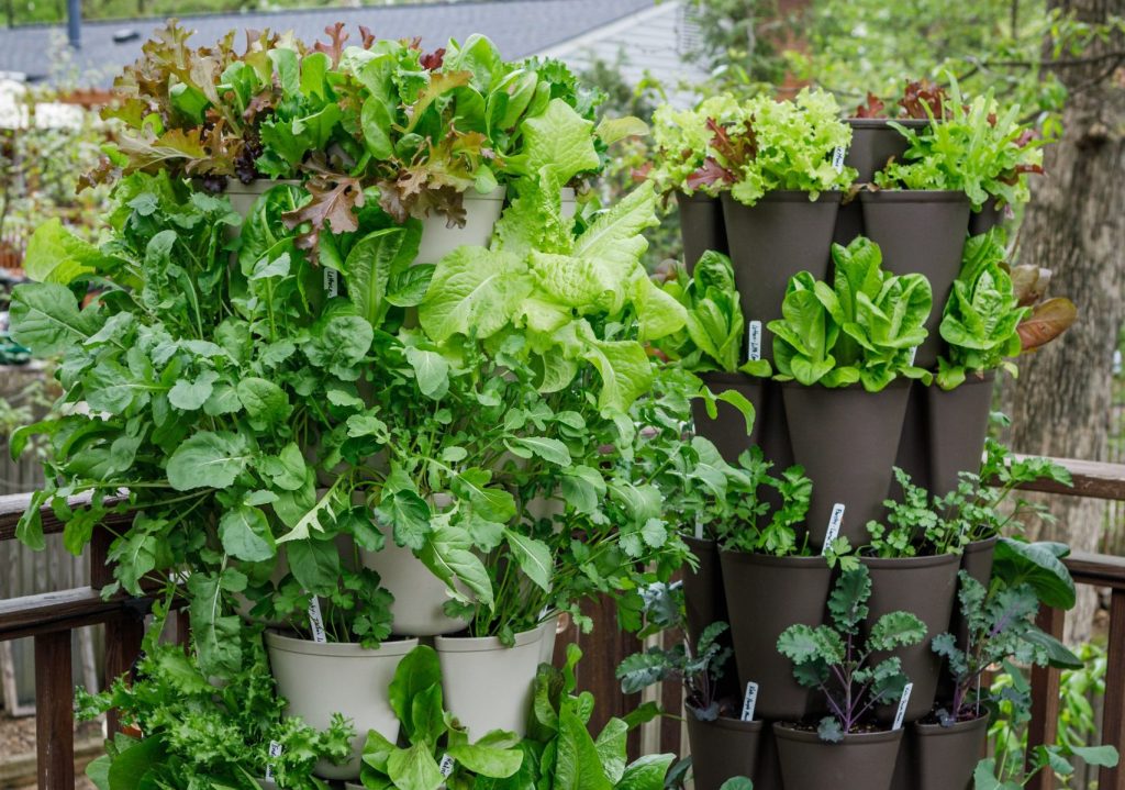 Vertical Tower Gardens