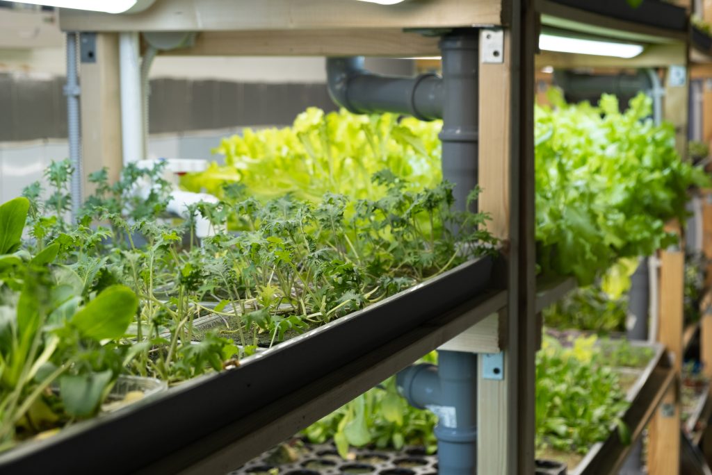 can a micro farm be profitable