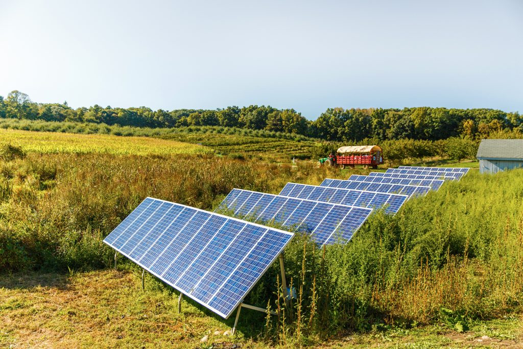 solar panels on the farm