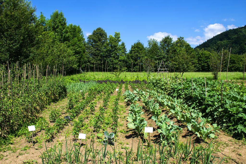 what is considered a micro farm