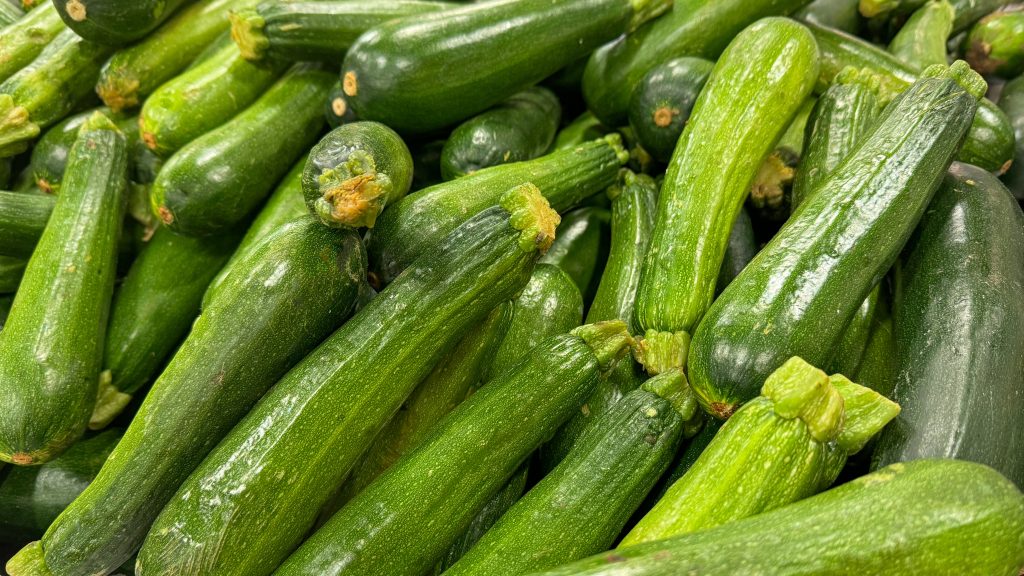 a close-up of a large pile of fresh green zucchinis, highlighting their glossy skin and varying sizes