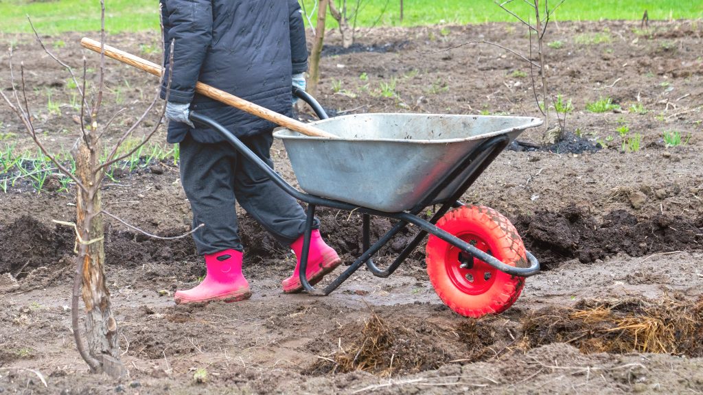 A person is pushing a wheelbarrow in a field. The person is wearing a black jacket and red boots.