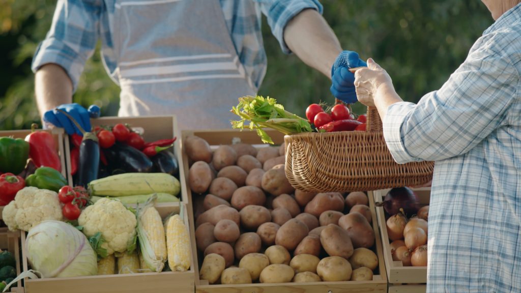 A woman buys fresh vegetables at a farmer's market. The shop assistant hands her a basket of vegetables