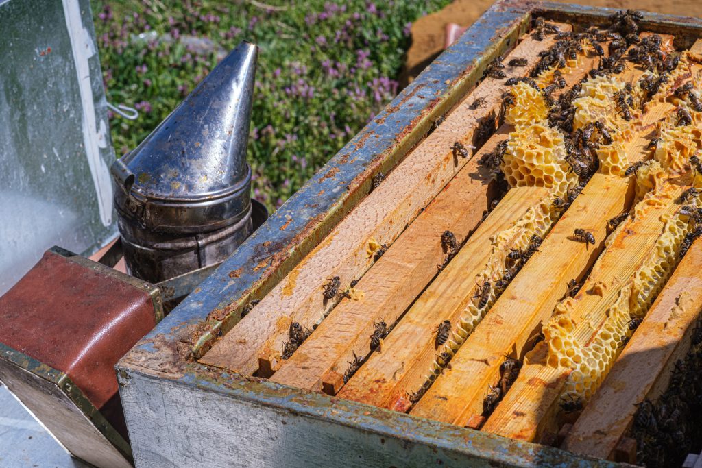 Beekeeping, High angle photo of a closed open beehive. Image of honey production. Beekeeper equipment, honey combs.