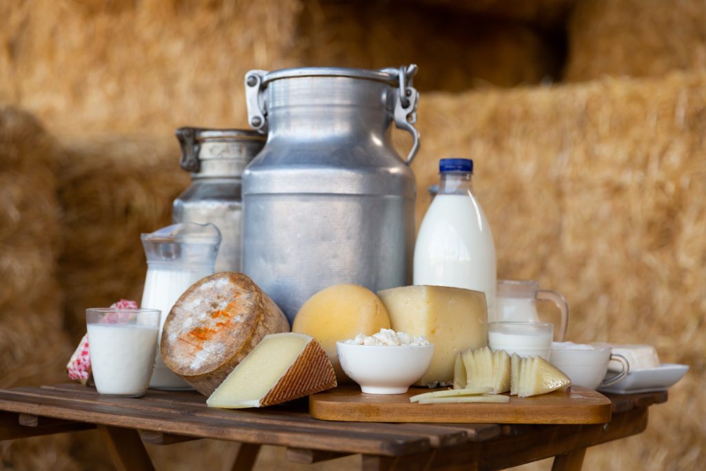 Composition of milk churns with wheels of different kinds of cheeses on wooden table among hay bales