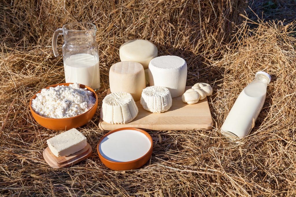 Dairy products milk, sour cream, cheese and butter on a background of hay. Various types of cheese, sour cream and cottage cheese in a clay cup, milk in a bottle and a jar. Eco farm dairy products