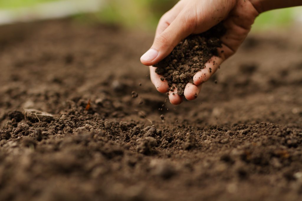 Expert hand of farmer checking soil health before growth a seed of vegetable or plant seedling. Gardening technical, Agriculture concept.