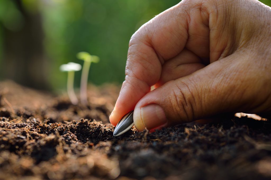 Farmer's hand planting seed in soil