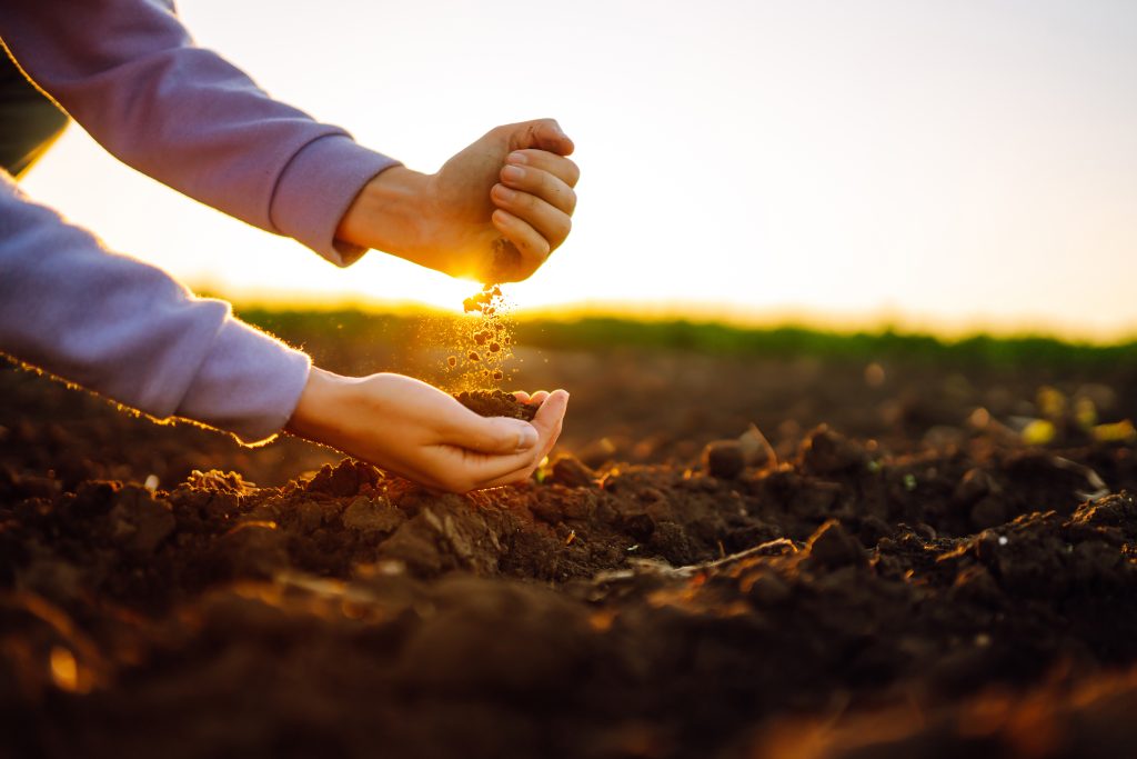 Female hands touching soil on the field at sunset. Agriculture, organic gardening, planting or ecology concept.