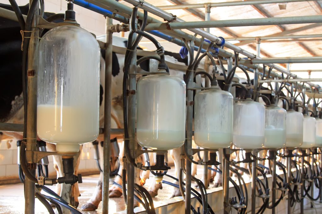 glass milk storage tank in a milking workshop, luannan county, china