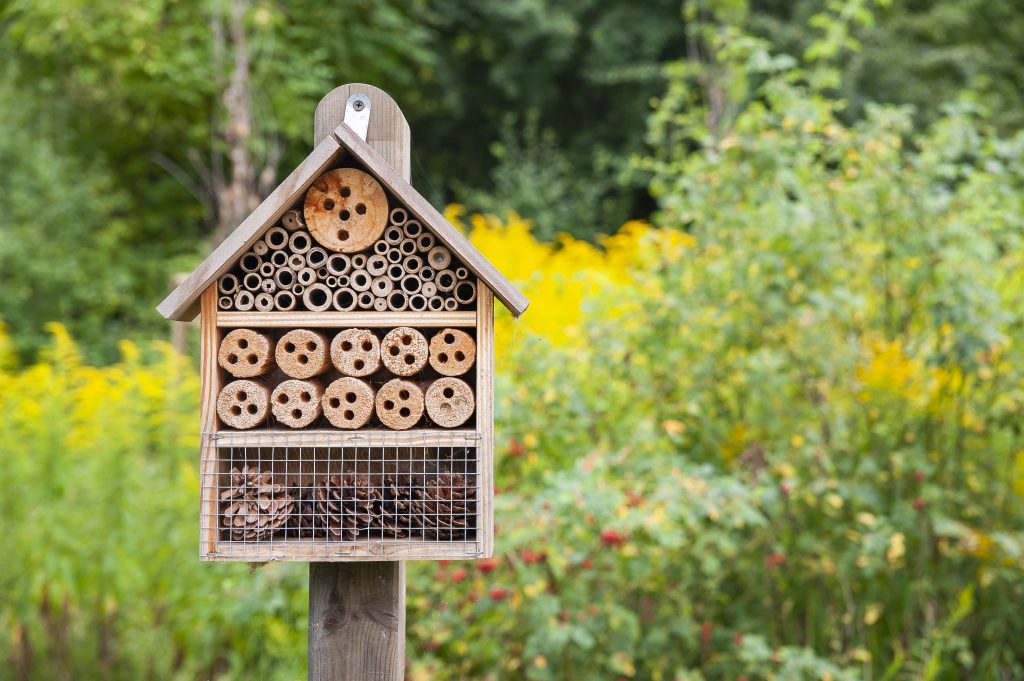 Insect hotel in the city park