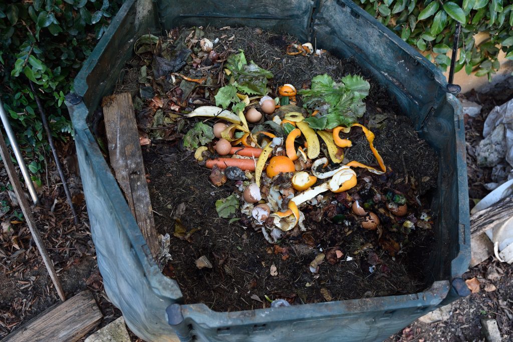 inside of a composting container