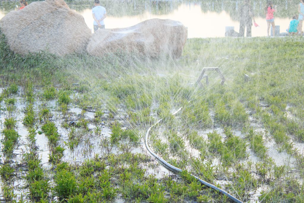 Irrigation plant