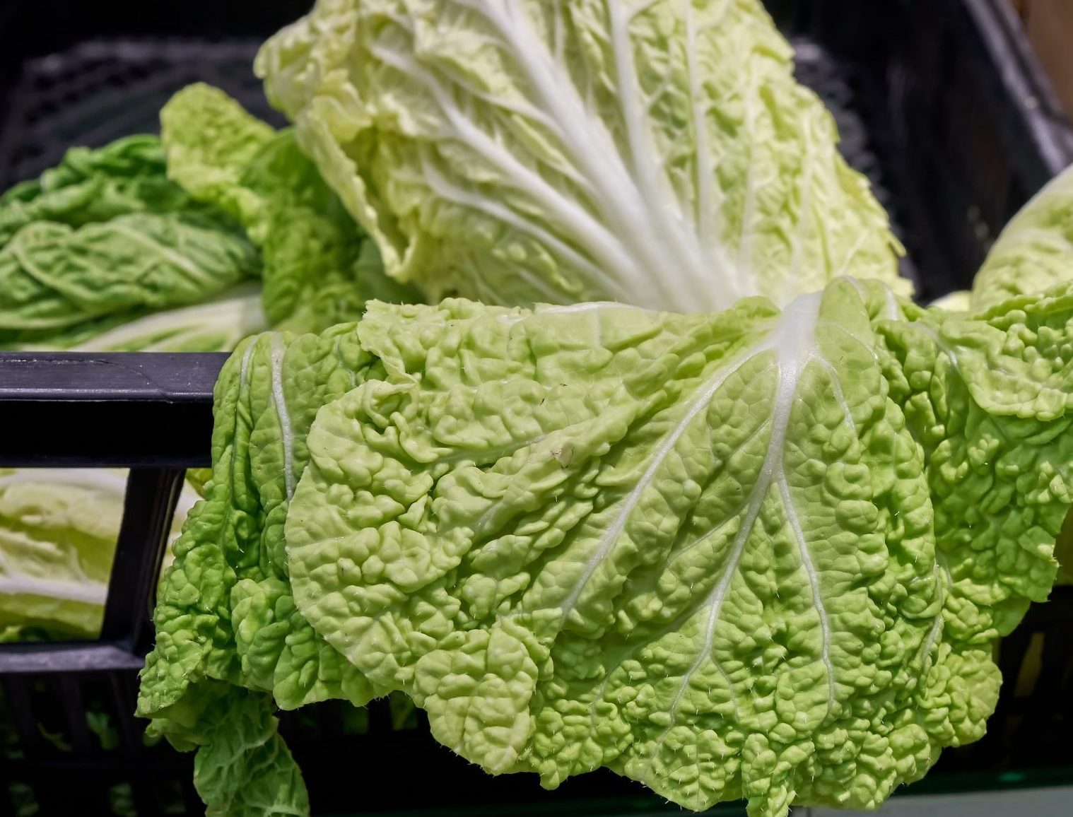 Lettuce bunches on a display stand of a vegetable stall that are not in optimum freshness condition.