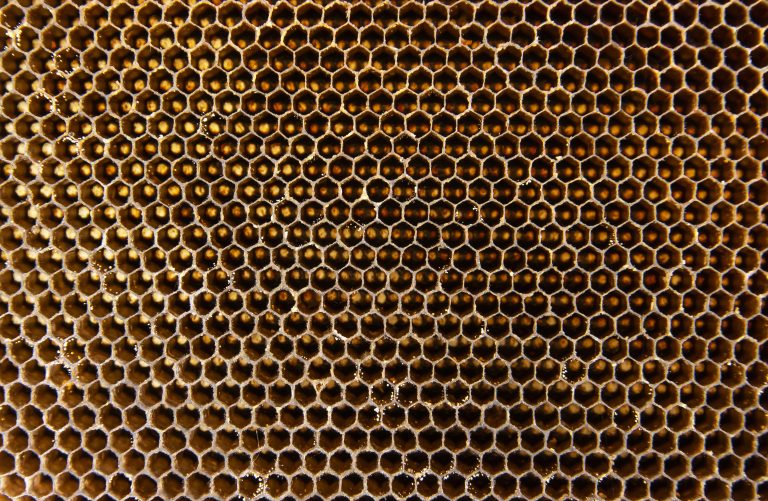 Nature honeycomb background. Closeup natural empty beehive structure background