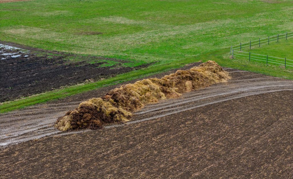 Pile of manure in a wet field in winter with puddles