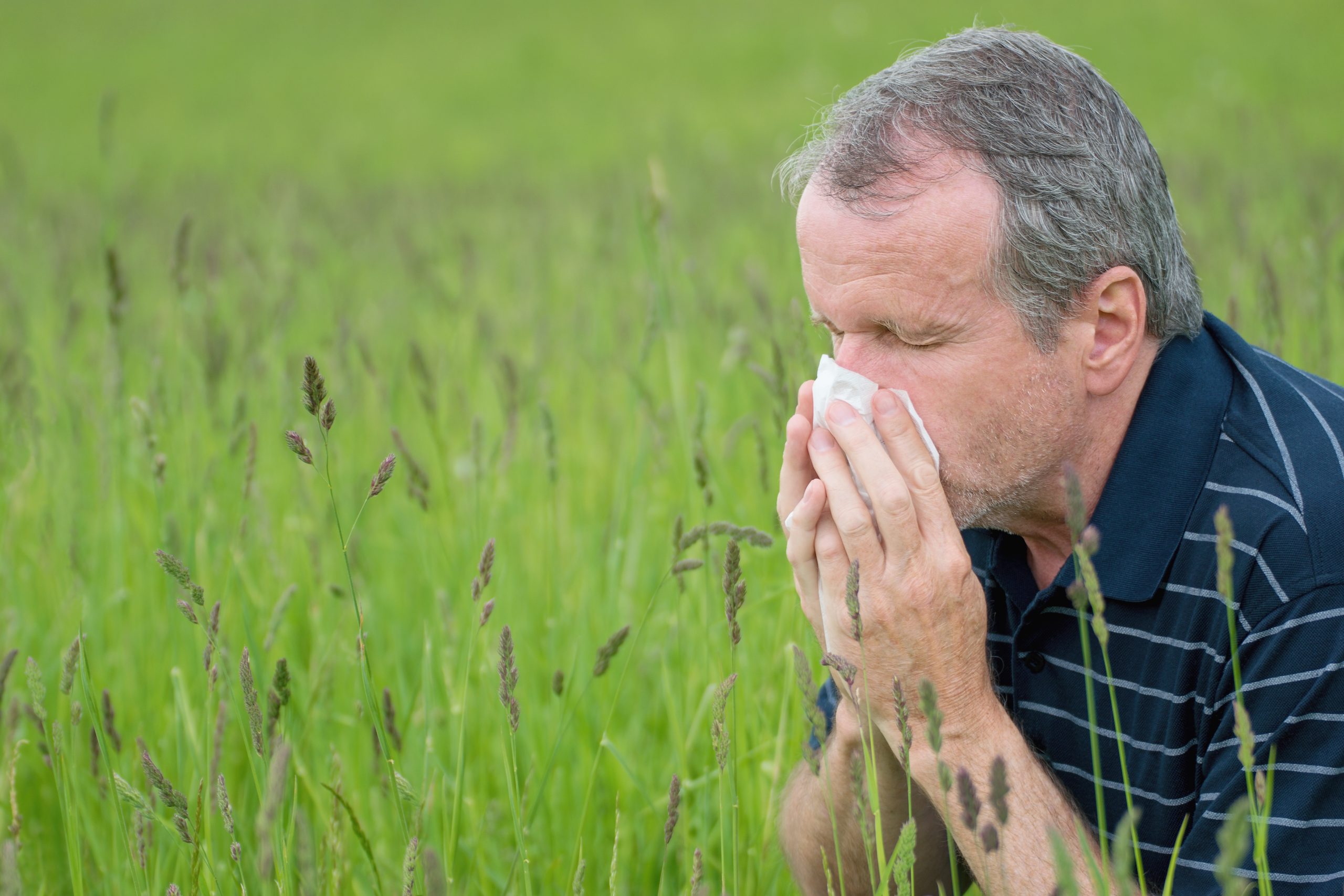 Portrait of middle aged man suffering from hay fever. Seasonal allergy problem.