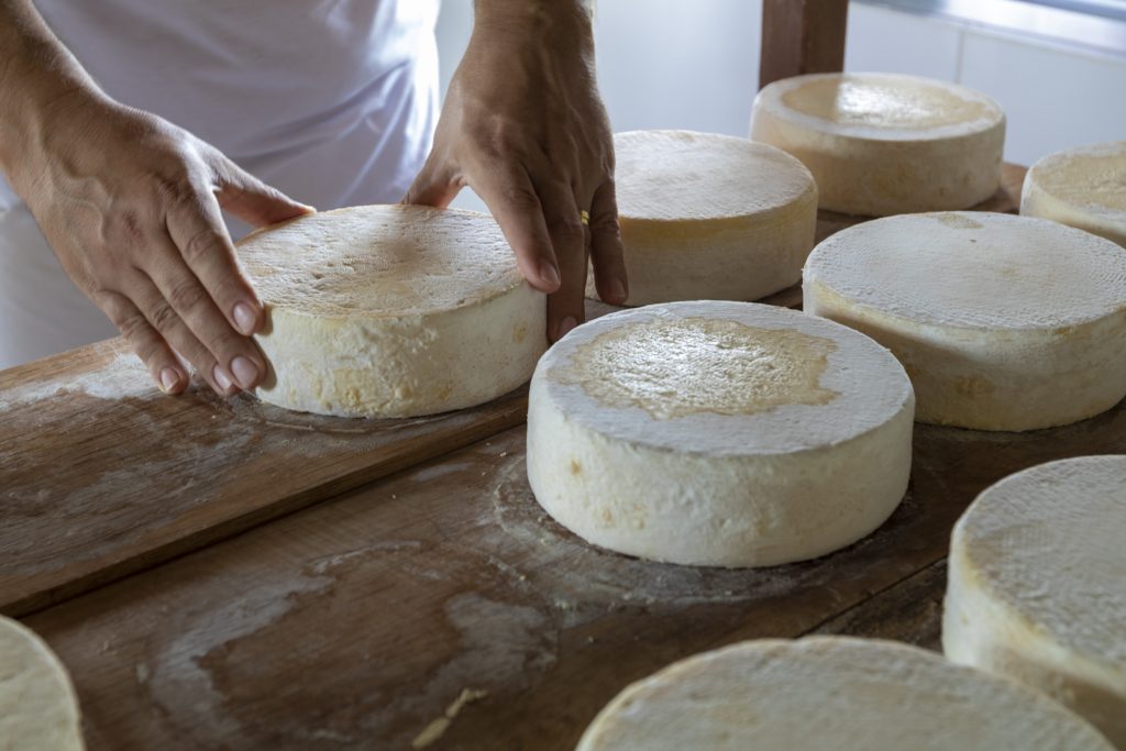 Production of artisanal cheese and other delicacies in Serra da Canastra in Minas Gerais, MG, Brazil