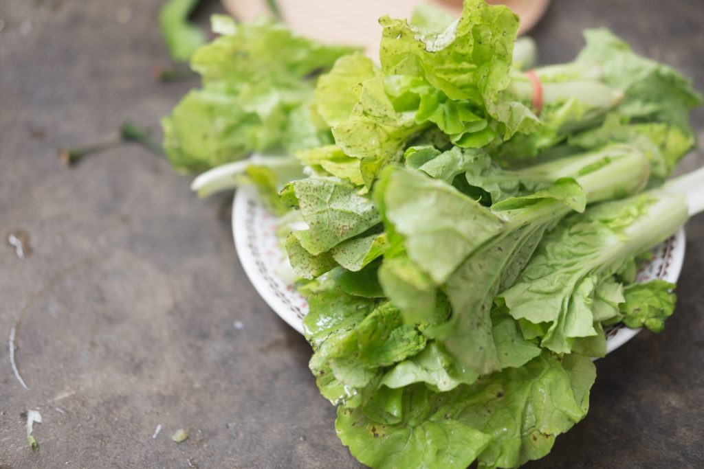 Rotten lettuce on white dish