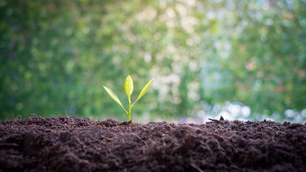 Smart Farmers hand planting seedlings in a germ-free and insect-free laboratory for growing seedlings for agriculture over blurred green nature background. environment concept.Ecology