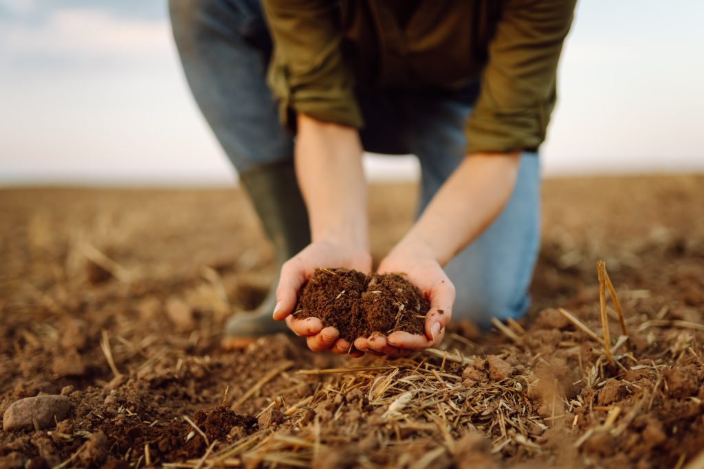 Soil in hands for check the quality of the soil for control soil quality before seed plant.  Gardening and agriculture concept.