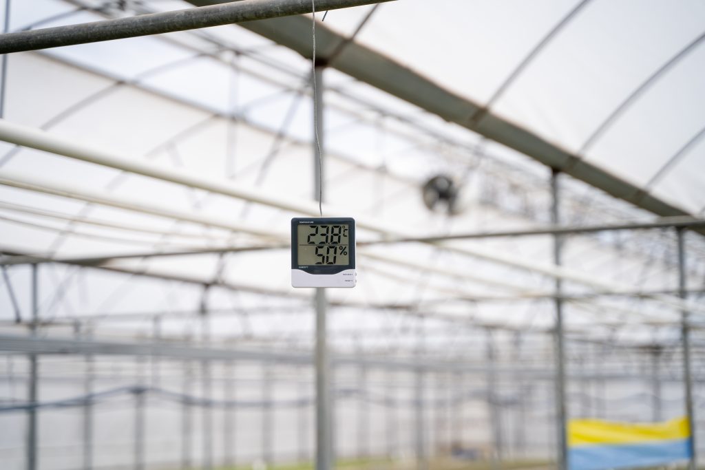 Temperature and humidity in the thermometer in the greenhouse