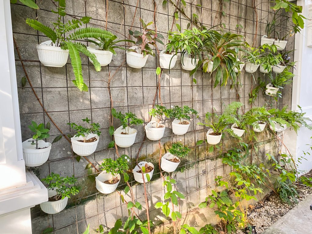 Vertical gardening method is a solution to the problem of limited space at home House plants in white plastic pot. Concept for Gardening Hobby, Leisure Activity, Plant Seller Shop.