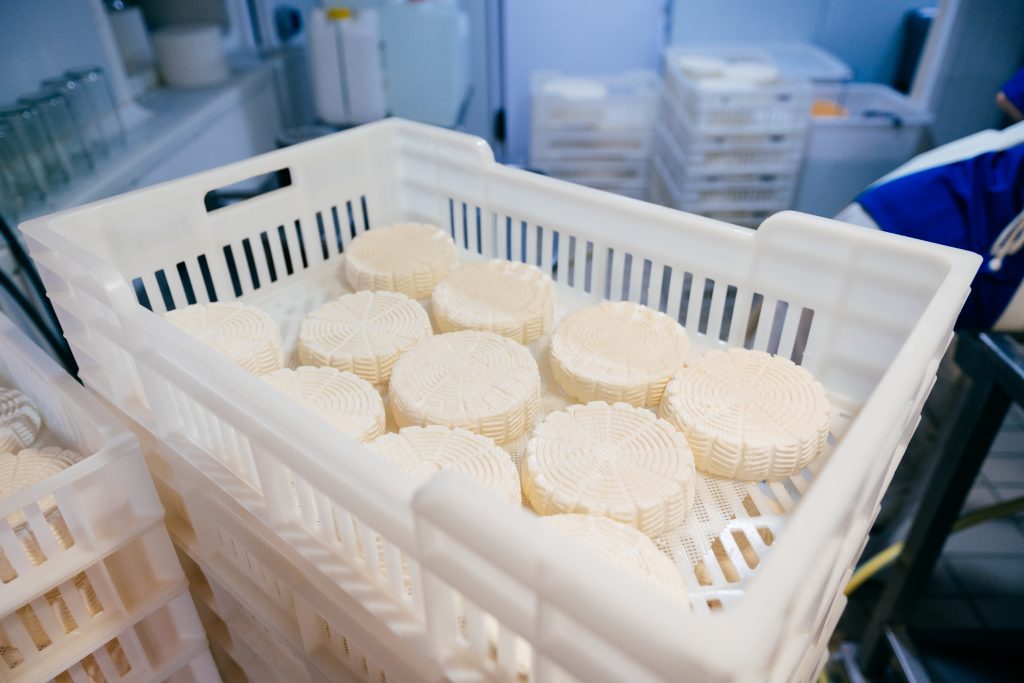 White plastic containers filled with ricotta cheese placed at dairy factory store