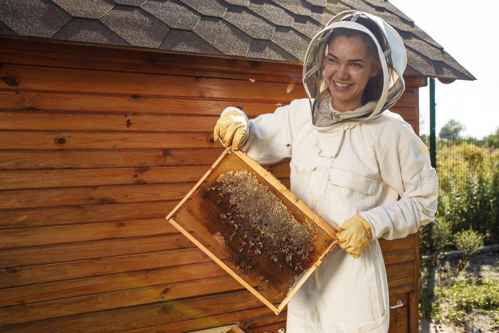 Young female beekeeper hold wooden frame with honeycomb. Collect honey. Beekeeping concept.