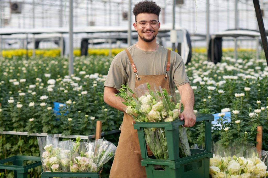 Young successful gardener or clerk of flowers holding box with several bunches of fresh eustomas while standing in industrial greenhouse