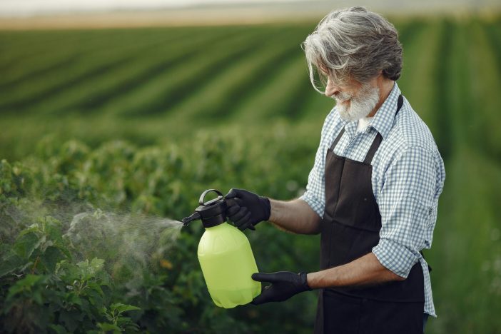 Elderly farmer spraying garden plants