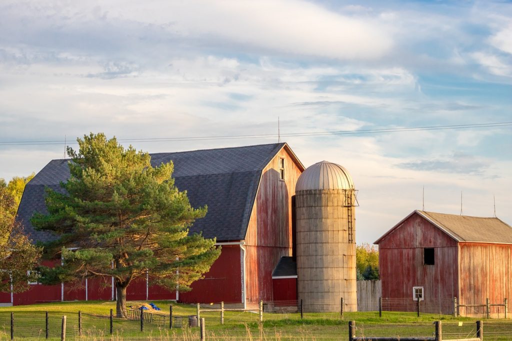 farm, rural, barn