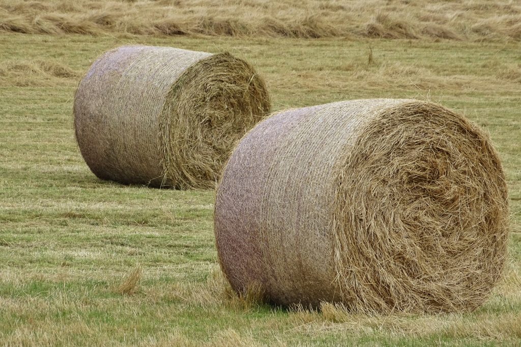 Harvest time and the farmer has already produced hay bales in the Dorset Countryside.