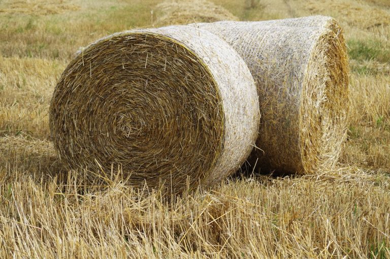 hay, straw, disc