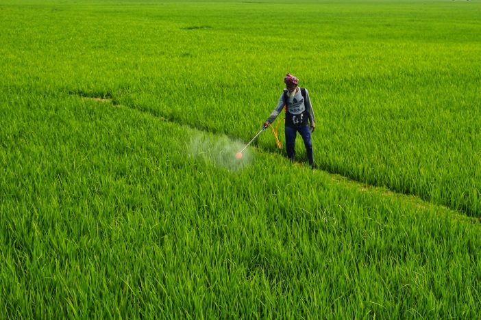 Man working on a field