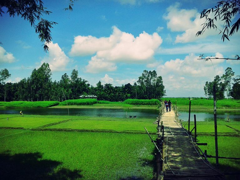 Scenic view of the farm