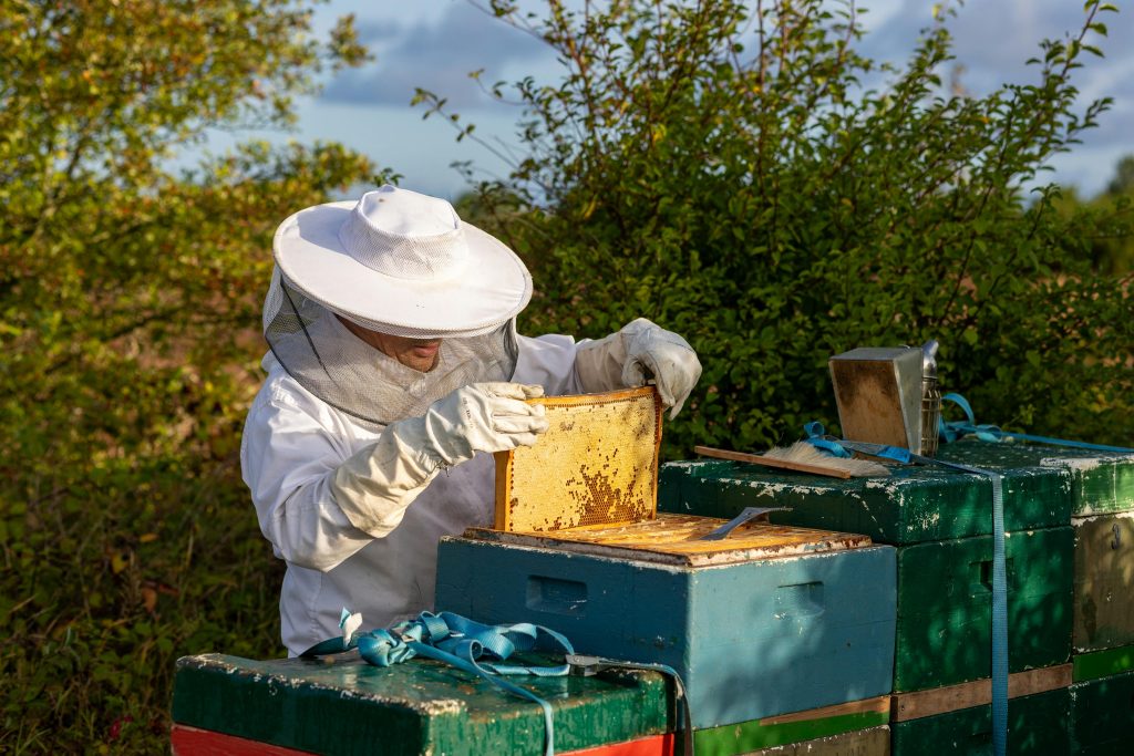 is beekeeping a good side hustle