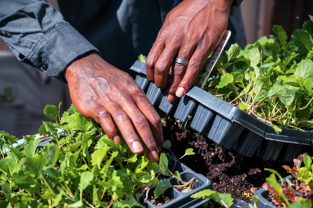 A person doing horticulture