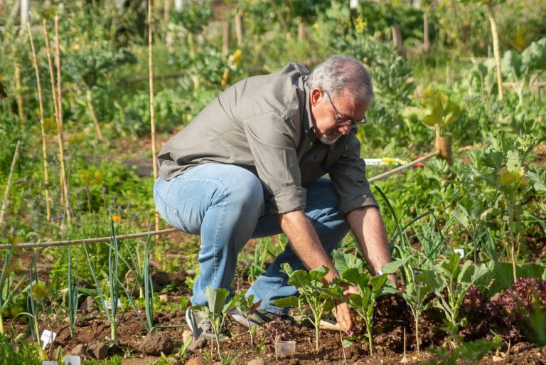 small-scale farming tips