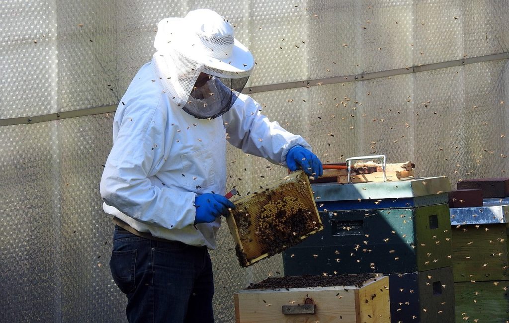 what is the modern method of beekeeping