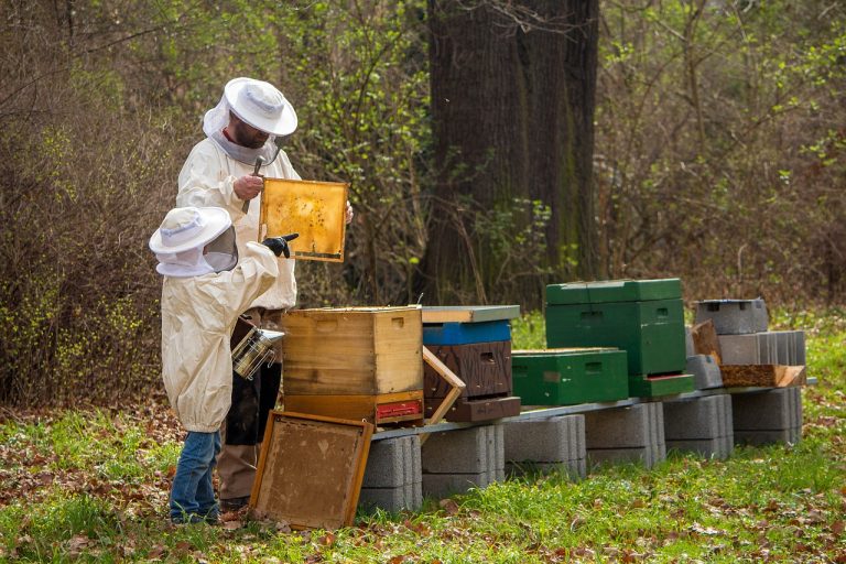 what are ethical beekeeping practices