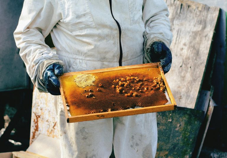 what is the modern method of honey harvesting