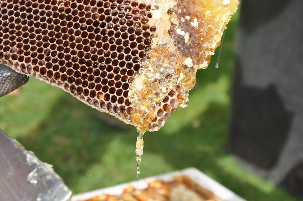 maximize honey production