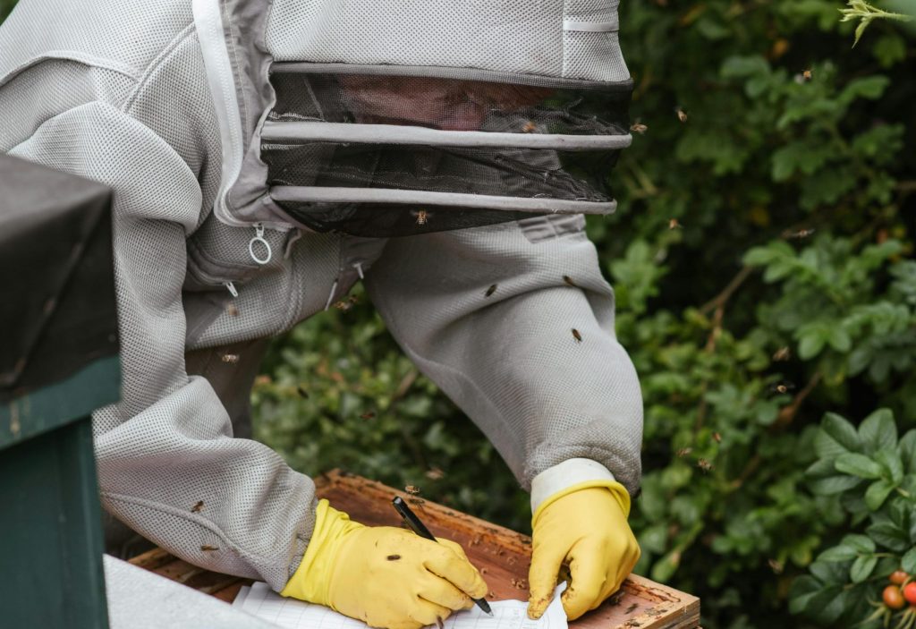 Beekeeper writing information while harvesting honey