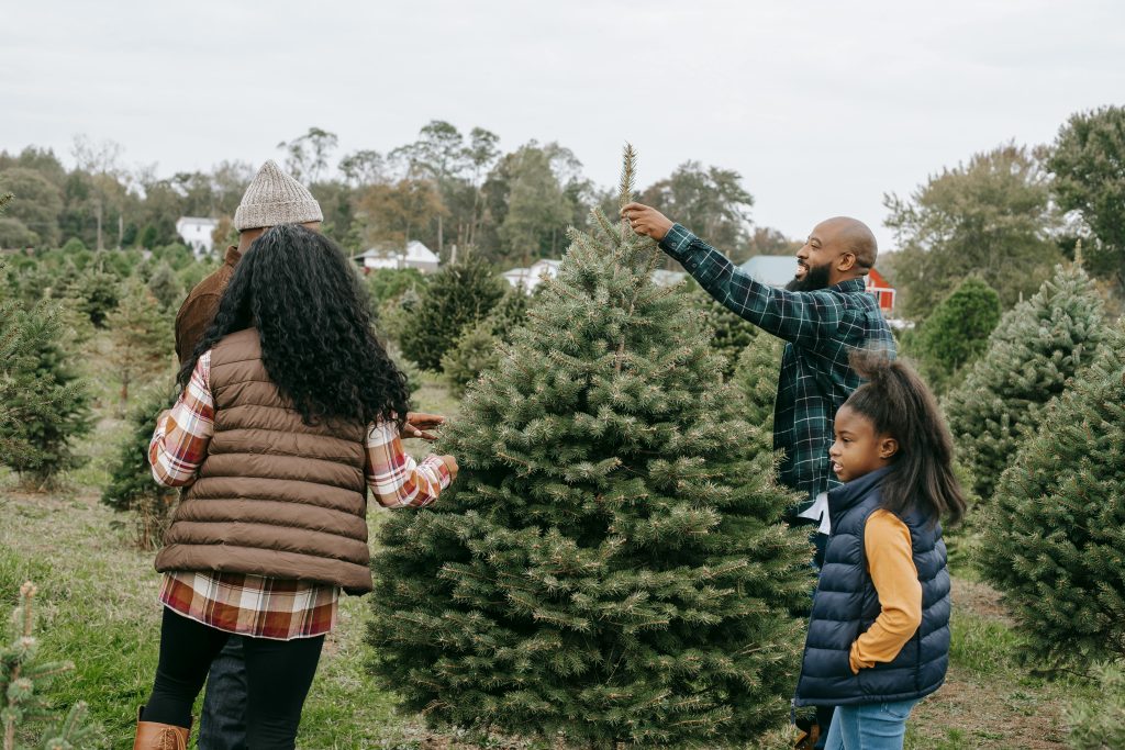 Cheerful black dad touching top of fir tree