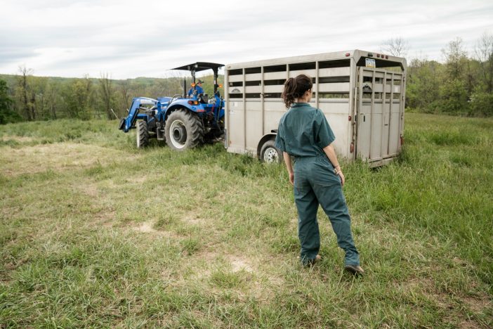 how do you keep track of farm expenses More photography at http://zoeschaeffer.com and http://instagram.com/dirtjoy More from the farm at http://pasturesongfarm.com #regenerativeagriculture #organicfarming #regenerativefarming #farming #youngfarmers #flowerfarm