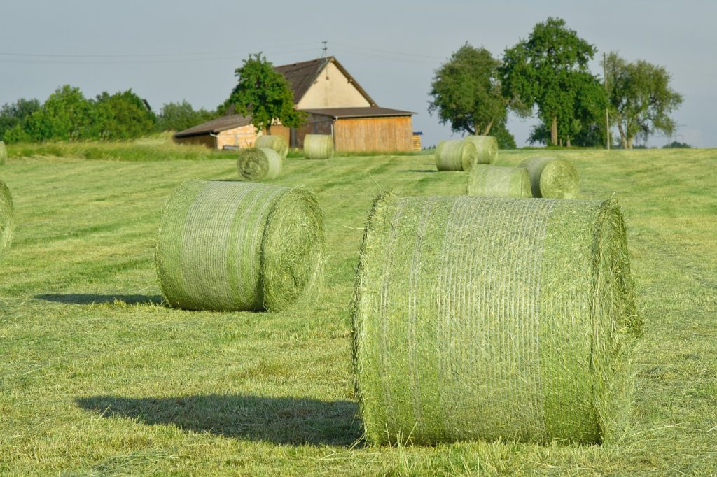 hay bales, straw, hay