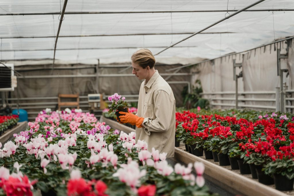 Man holding a potted flowering plant