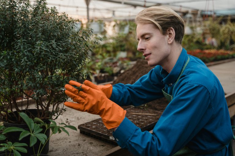 profitable urban gardening