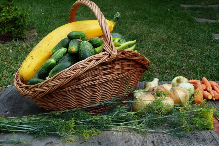 farm produce distribution ideas